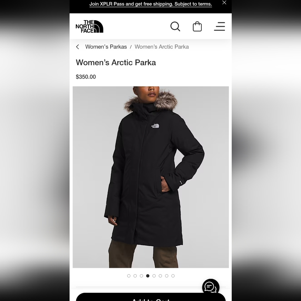 The North Face Artic Hooded Parka